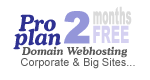 PROFESSIONAL 2 Months FREE!